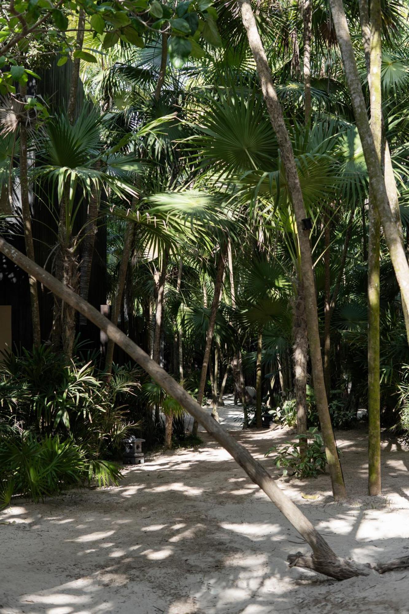Umi Tulum Hotel Luaran gambar