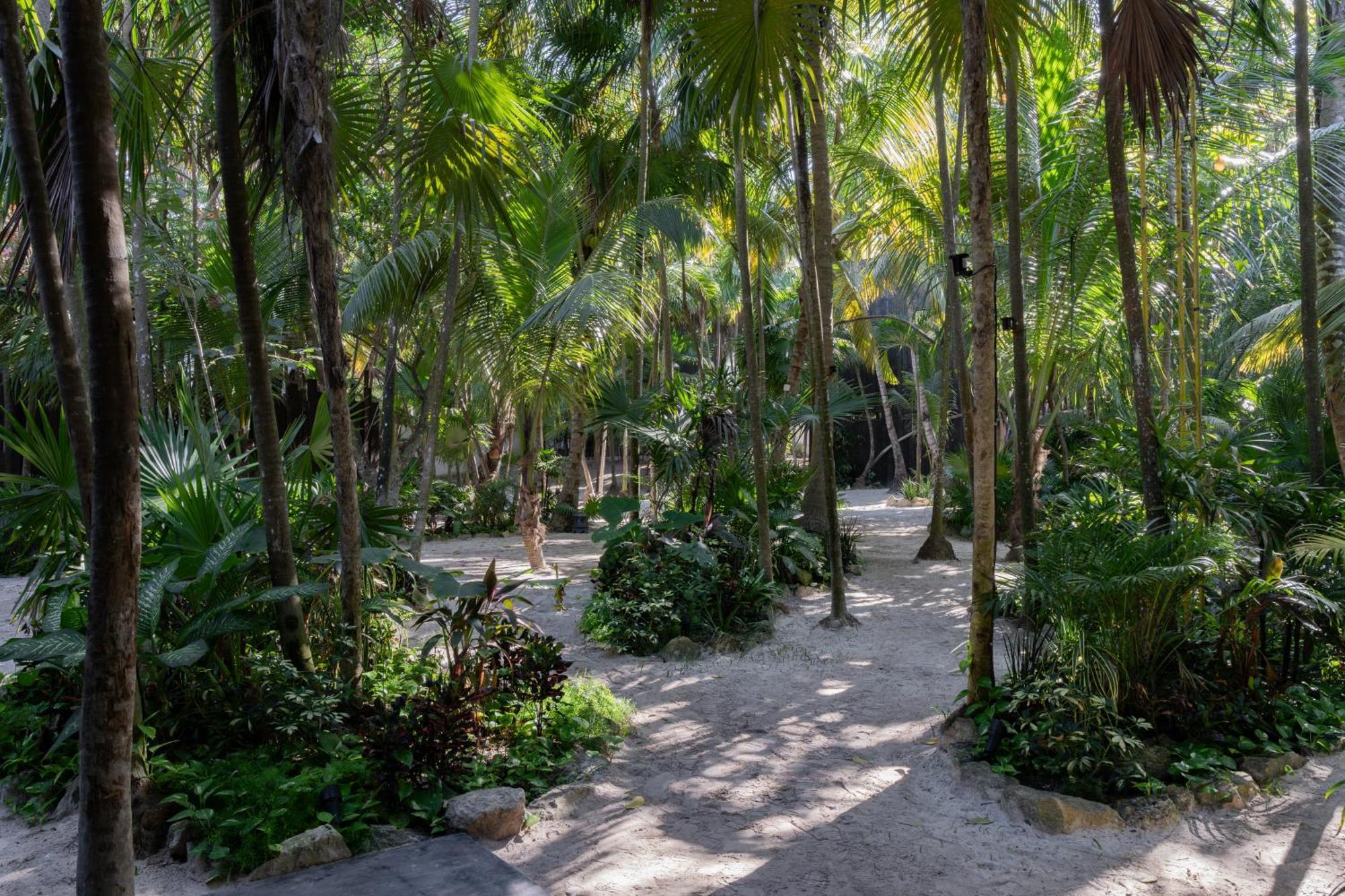 Umi Tulum Hotel Luaran gambar