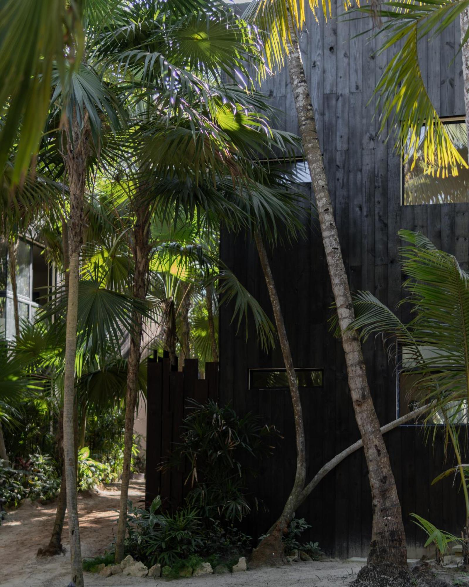 Umi Tulum Hotel Luaran gambar